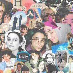 Cover art for Shelly by Shelly